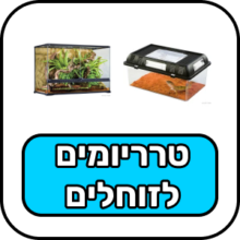 טרריומים