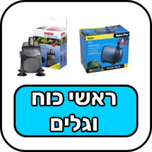 ראשי כוח וגלים