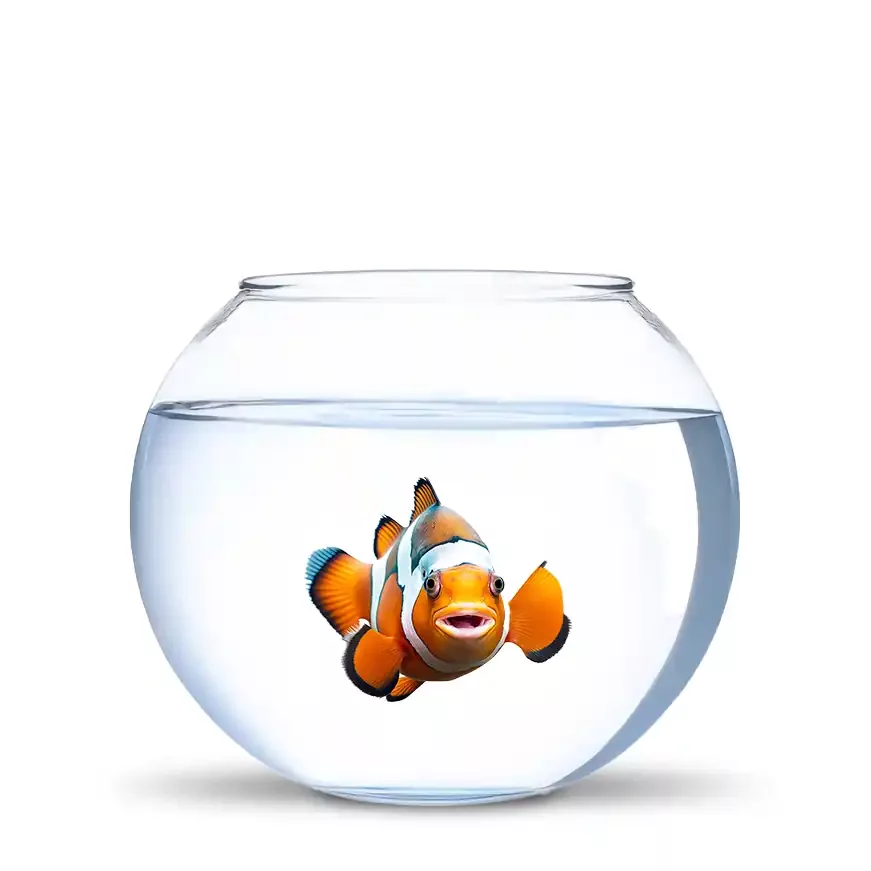 newfish